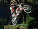 Новые шины Maxxis для KTM Freeride