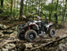 Одноместный Polaris Sportsman ACE