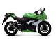 Глушитель Termignoni для Kawasaki Ninja 250R