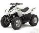 Отзыв детских ATV Kawasaki