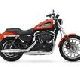 Линейка Harley-Davidson 2009 модельного года