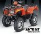 Arctic Cat: Итоги первого квартала